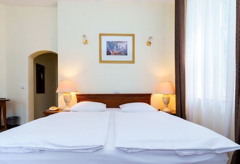 غرفة قياسية, Spa Hotel Anglický Dvůr