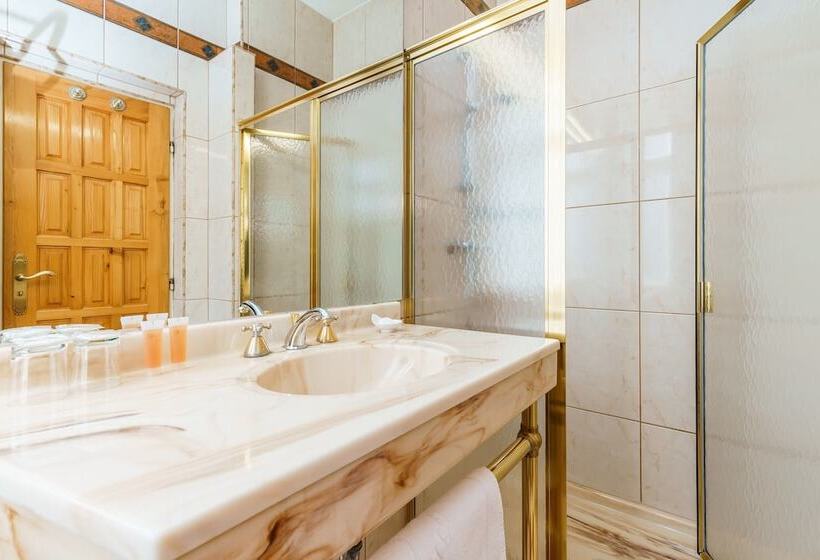 스탠다드 룸, Spa Hotel Anglický Dvůr