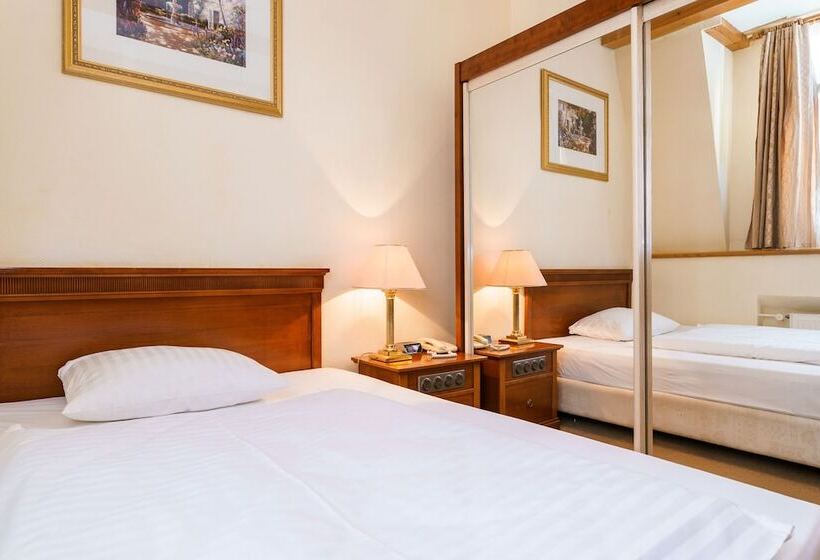 غرفة قياسية فردية, Spa Hotel Anglický Dvůr