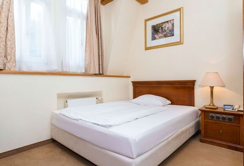 스탠다드 싱글 룸, Spa Hotel Anglický Dvůr