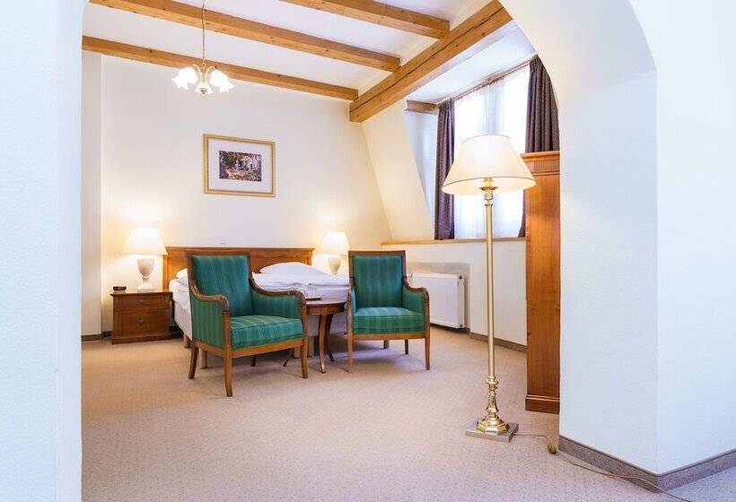 غرفة قياسية ثلاثية, Spa Hotel Anglický Dvůr