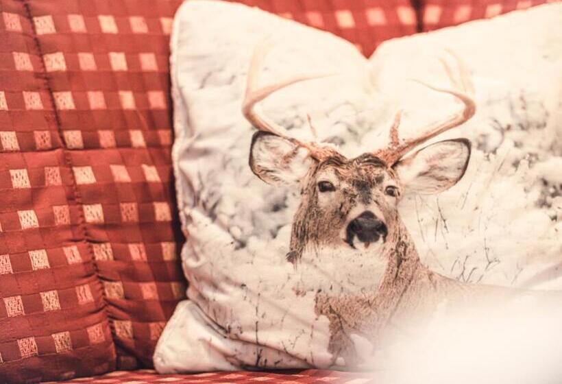 침실 1개 아파트, Andrea 3 Sterne Superior