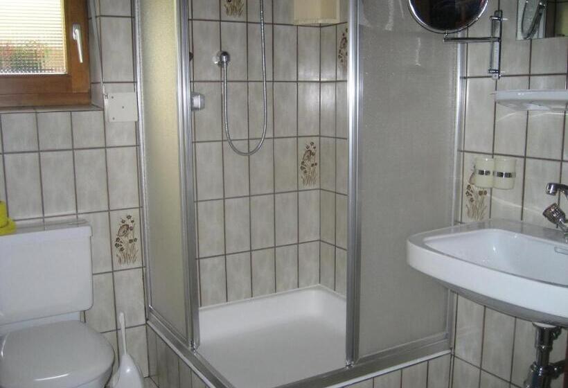 Номер Стандарт, Pension Danler