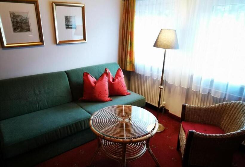 Номер Стандарт, Sportpension Thayer