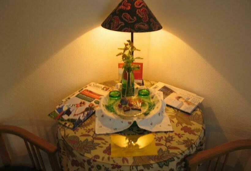 带阳台的标准单人间, Römerstein