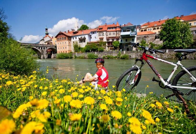 スタンダードスタジオ, Gästehaus Biobauernhof Mandl