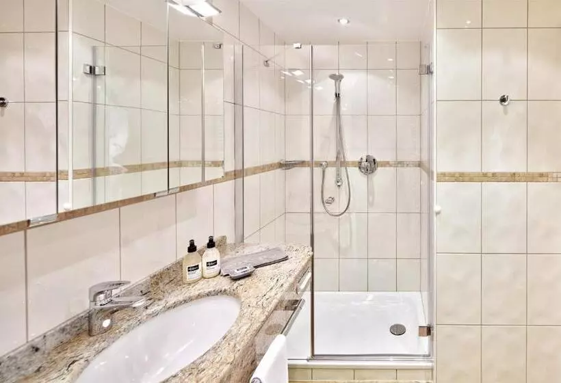 Comfort Yhden Hengen Huone, Alpenhof