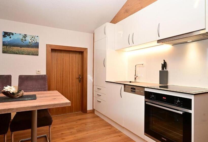 شقة غرفة نوم واحدة مزودة بشُرفة, Das Alpspitz