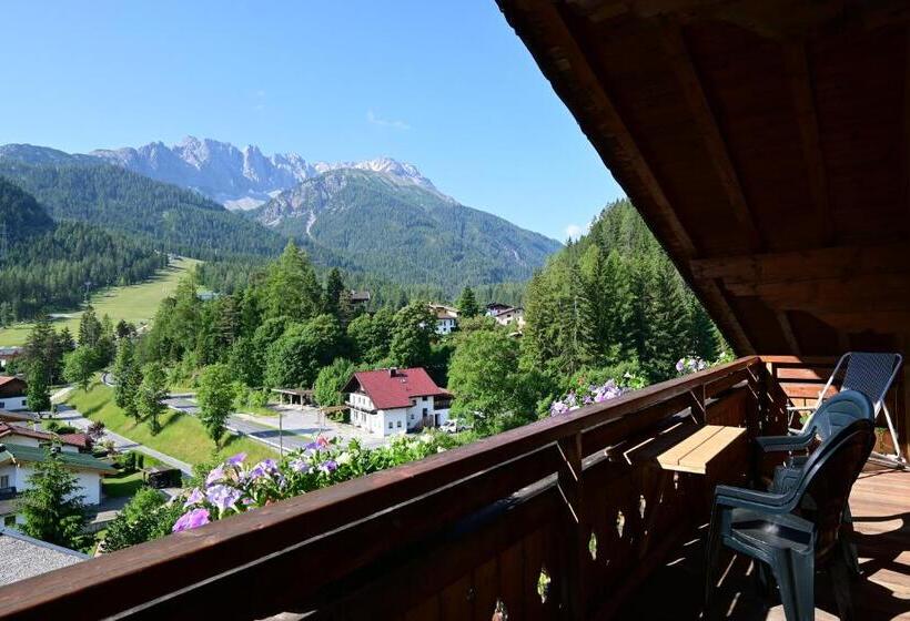 شقة ديلوكس غرفة واحدة, Das Alpspitz