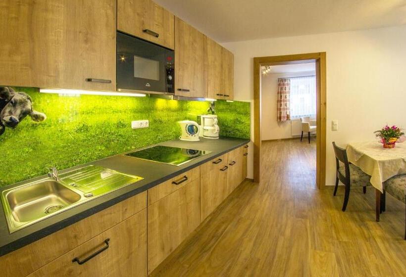 Апартаменты 1 Спальня, Haus Mariandl