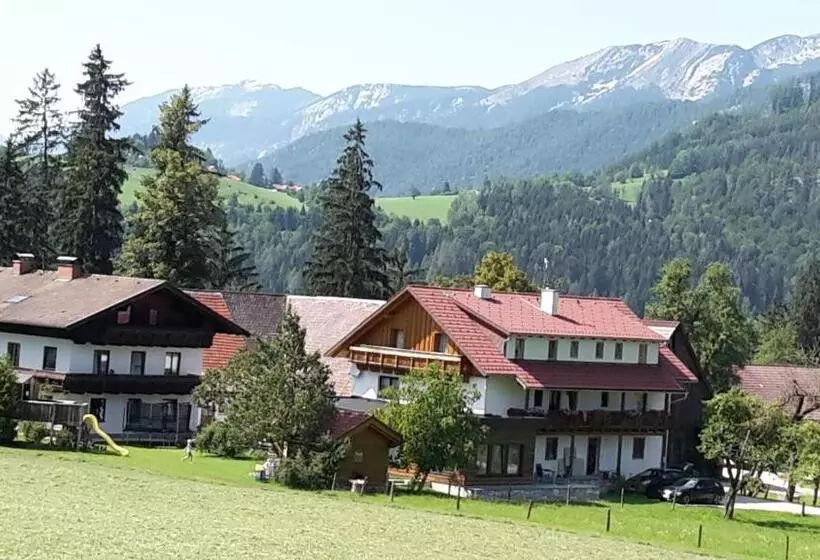 2ベッドルームアパートメント, Knirschenhof