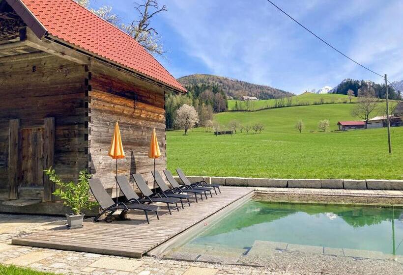 דירת שלושה חדרים, Knirschenhof