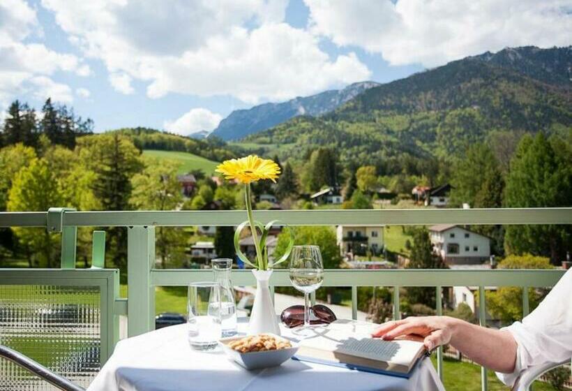 スタンダードルーム, Parkhotel Hirschwang