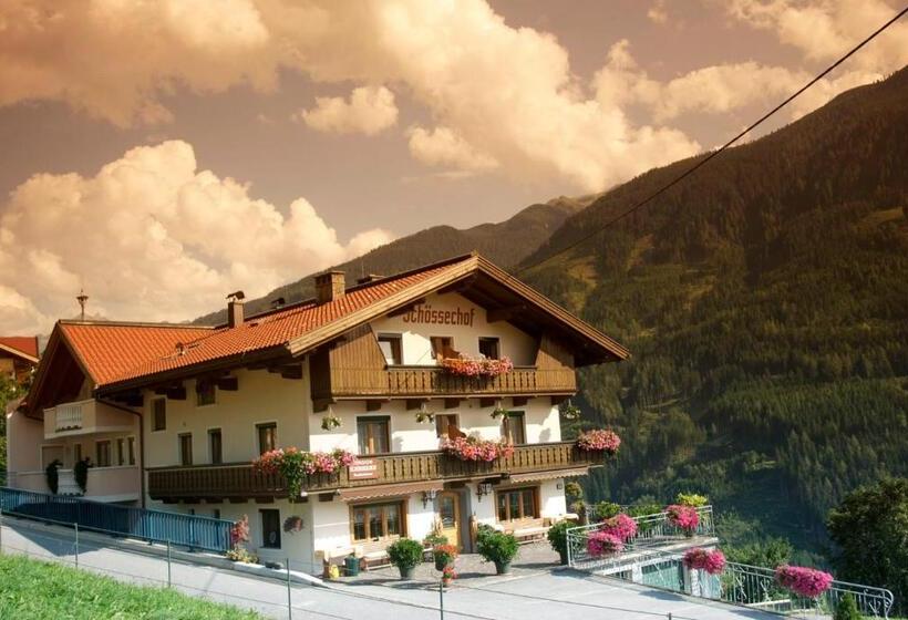 Апартаменты 1 Спальня с Балконом, Schösserhof