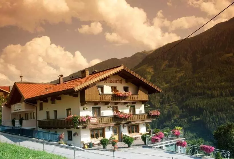 バルコニー付き１ベッドルームアパートメント, Schösserhof
