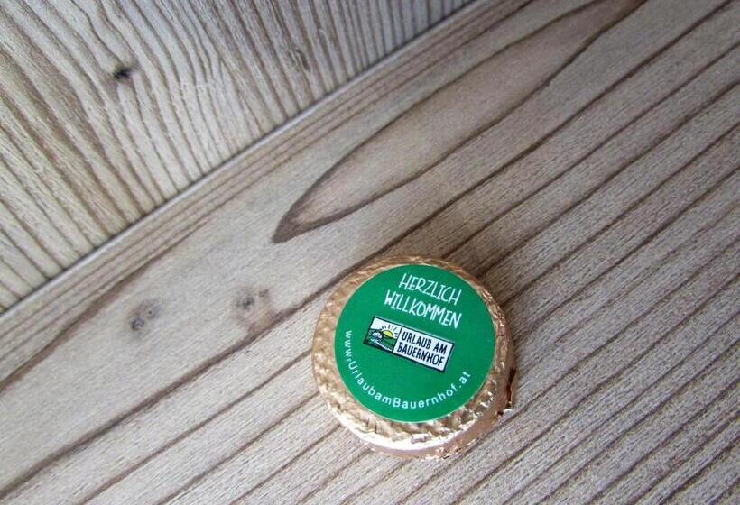 １ベッドルームアパートメント, Studlerhof