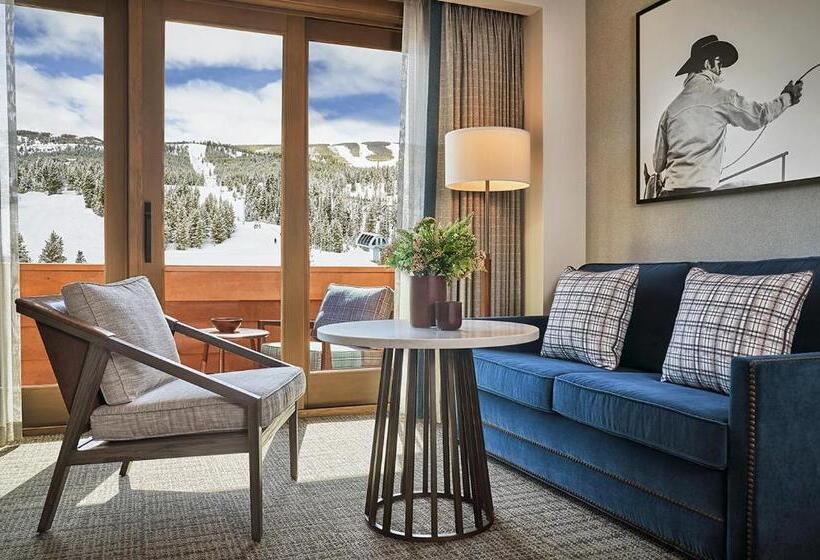 اتاق استاندارد با تخت بزرگ, Montage Big Sky