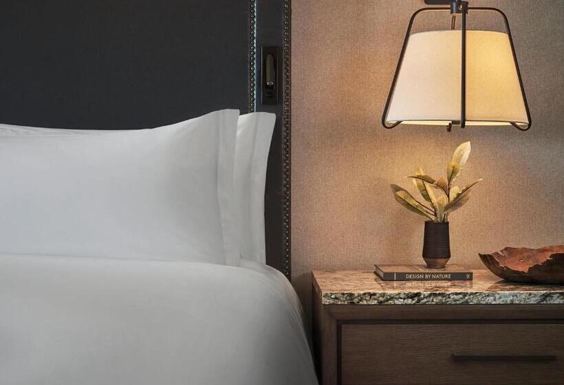 اتاق لوکس با تخت بزرگ, Montage Big Sky