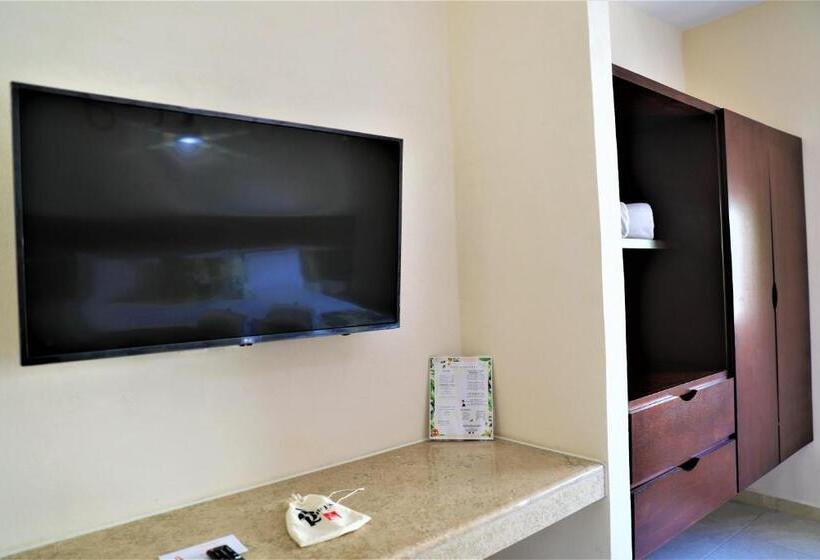 スタンダードルーム, 12 Bees By Kavia