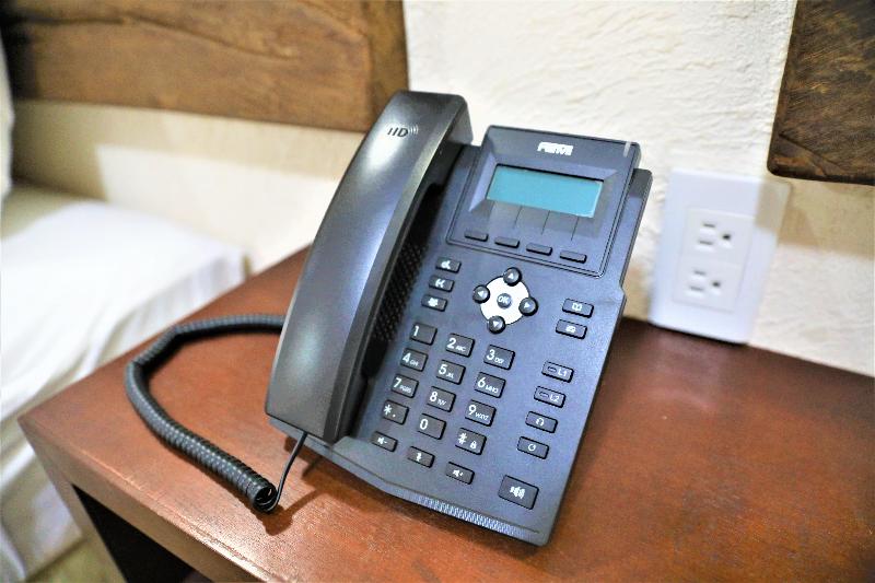 スタンダードルーム, 12 Bees By Kavia