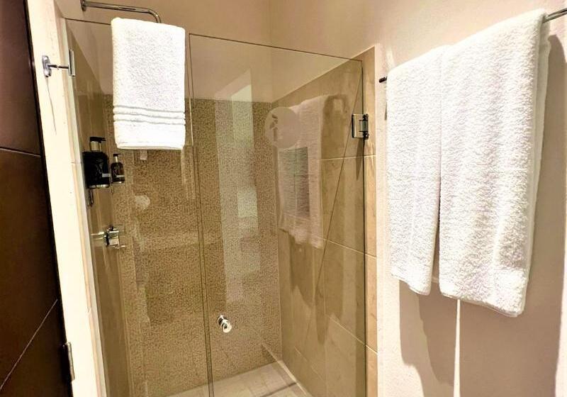 スタンダードルーム, 12 Bees By Kavia