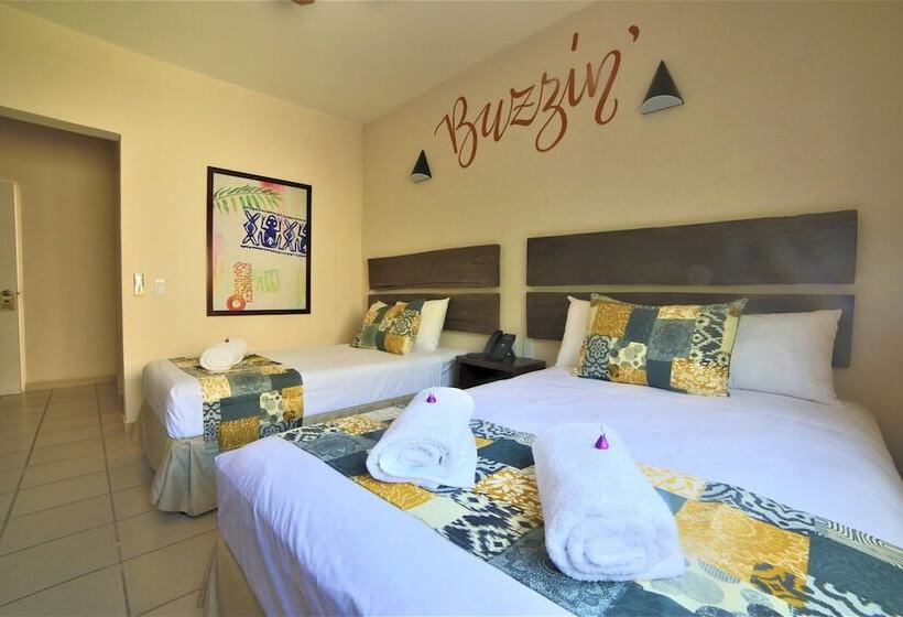 スタンダードルーム, 12 Bees By Kavia