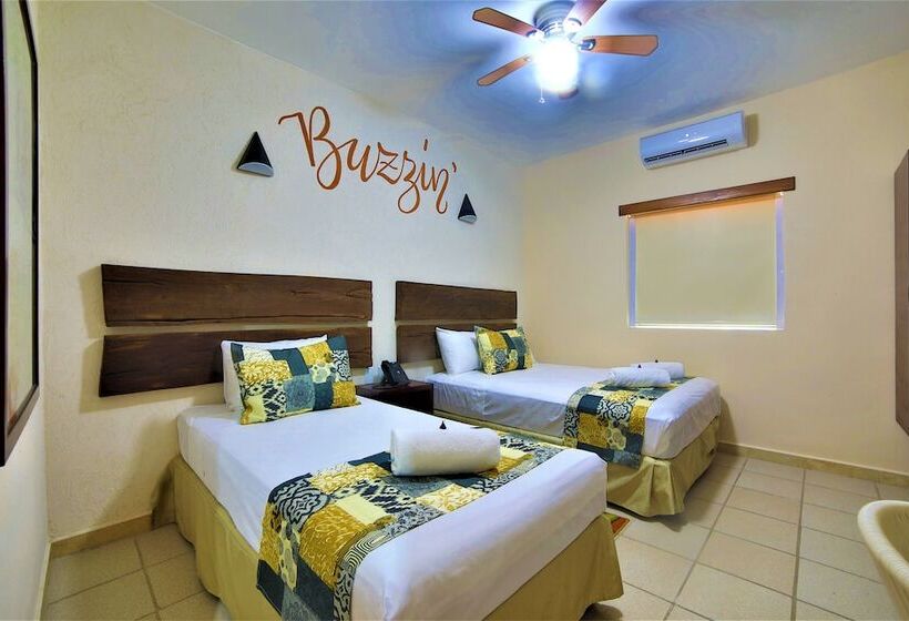 スタンダードルーム, 12 Bees By Kavia