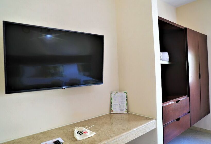 スタンダードルーム, 12 Bees By Kavia