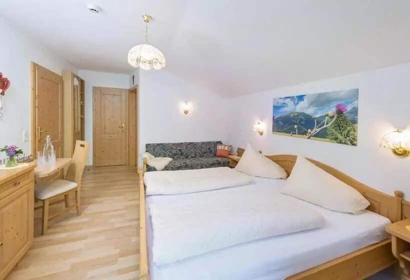 マウンテンビュースタンダードルーム, Alpenhotel Wanderniki