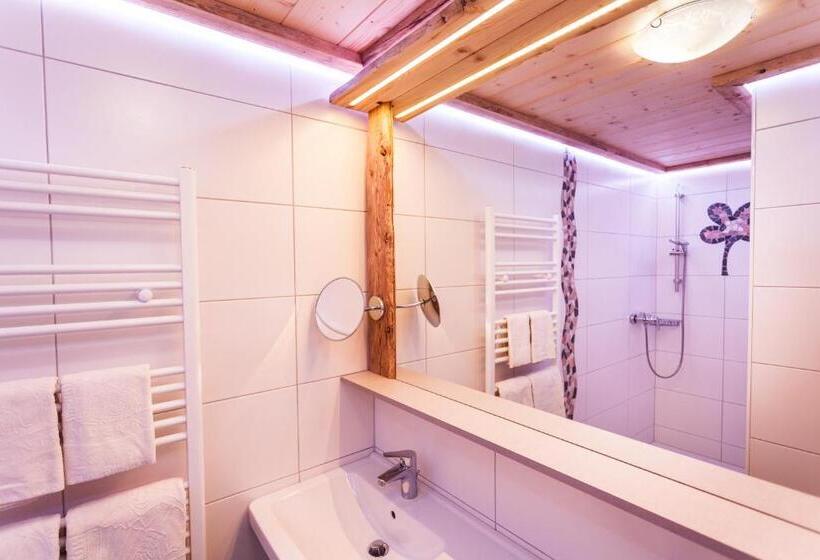 Апартаменты 1 Спальня Нижний Этаж, Alpenhotel Wanderniki