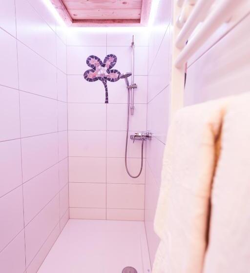 Апартаменты 1 Спальня Нижний Этаж, Alpenhotel Wanderniki