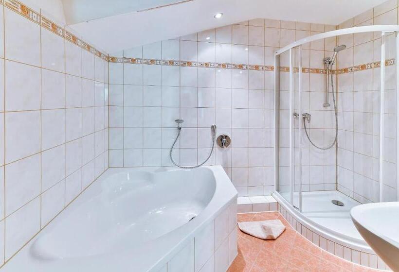 Апартаменты 1 Спальня с Террасой, Alpenhotel Wanderniki