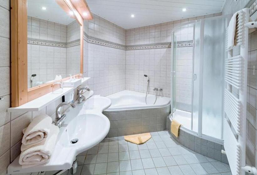 Апартаменты 1 Спальня с Видом, Alpenhotel Wanderniki