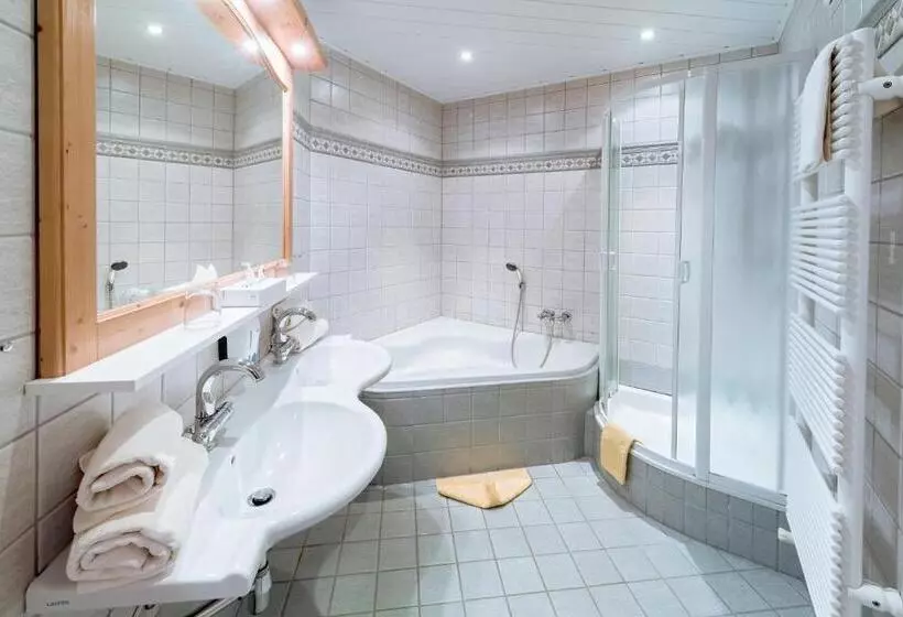 景色の見える一ベッドルームアパートメント, Alpenhotel Wanderniki
