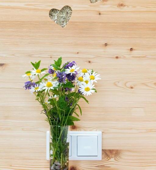 Люкс Вид на Горы, Alpenhotel Wanderniki