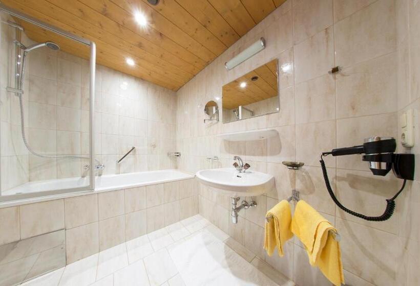 Студия Стандарт, Aparthotel Alpin Life