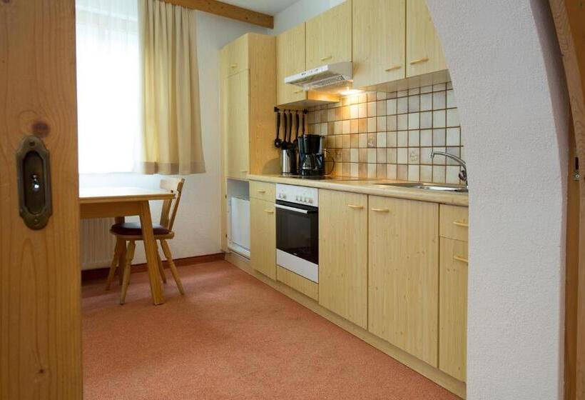 Студия Стандарт, Aparthotel Alpin Life