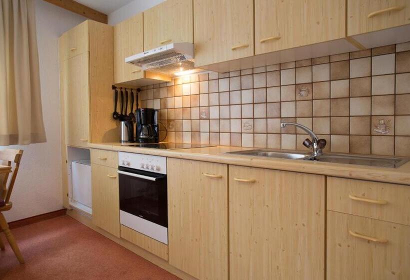 Студия Стандарт, Aparthotel Alpin Life