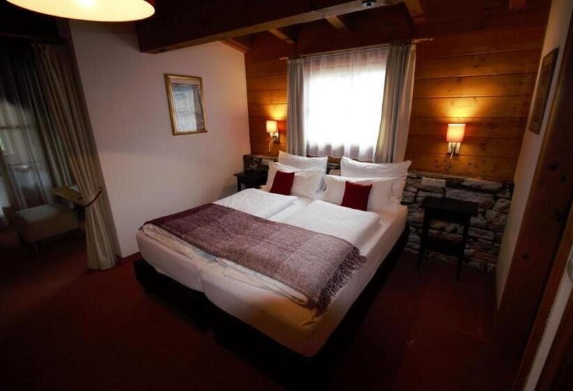 Номер Стандарт, Aparthotel Alpin Life