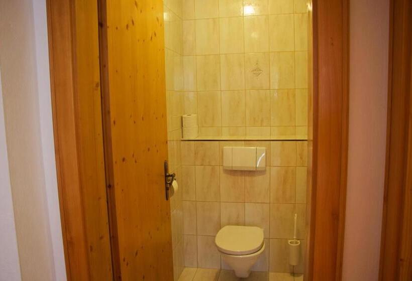 آپارتمان 1 خوابه, Aparthotel Alpin Life