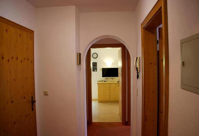 Апартаменты 1 Спальня, Aparthotel Alpin Life