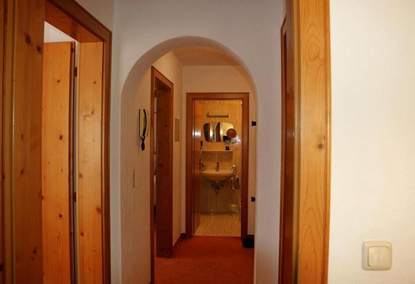 Апартаменты 1 Спальня, Aparthotel Alpin Life