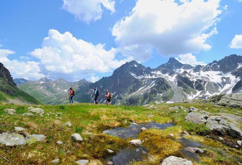 Апартаменты 2 Спальни, Aparthotel Alpin Life