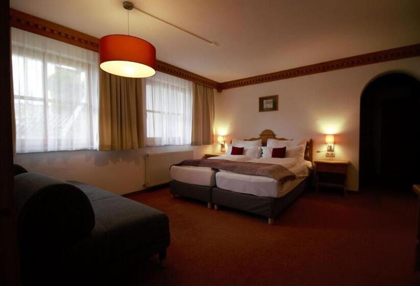 Апартаменты 2 Спальни, Aparthotel Alpin Life