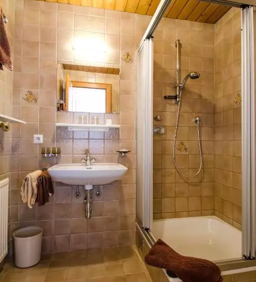 Habitación Estàndard Individual, Garni Ferwall