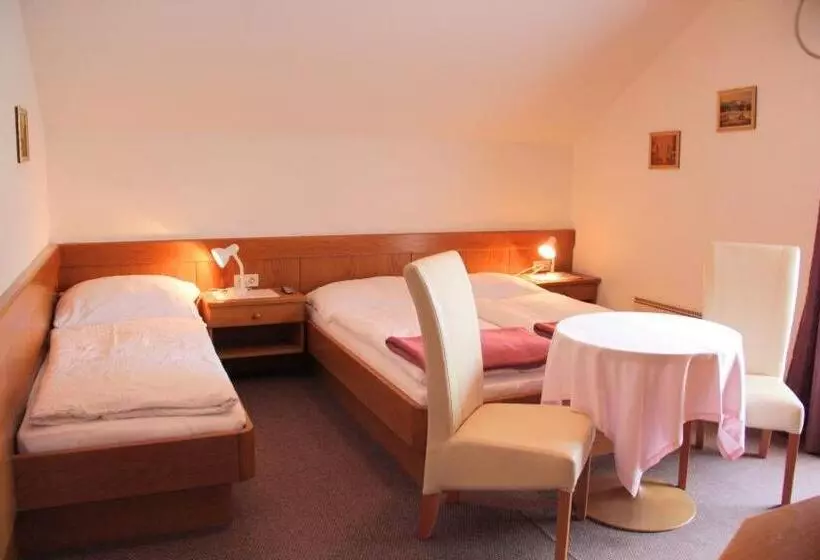 Standard Kolmen Hengen Huone Parveke, Pension Duregger
