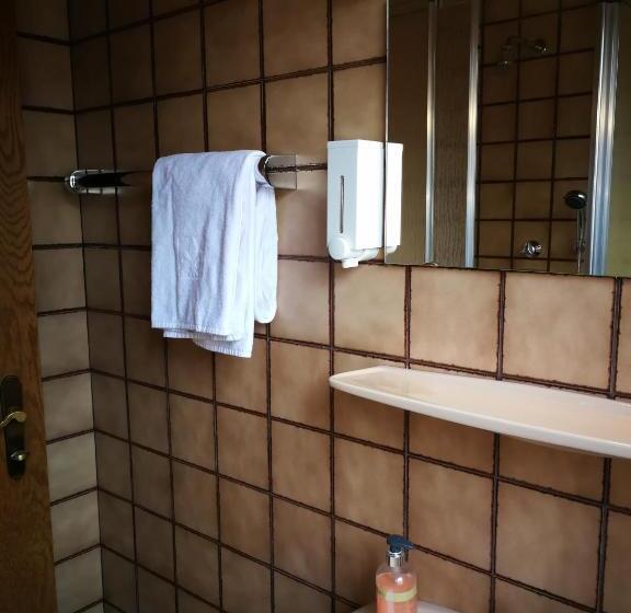 Номер Стандарт Индивидуальный, Garni Botenwirt