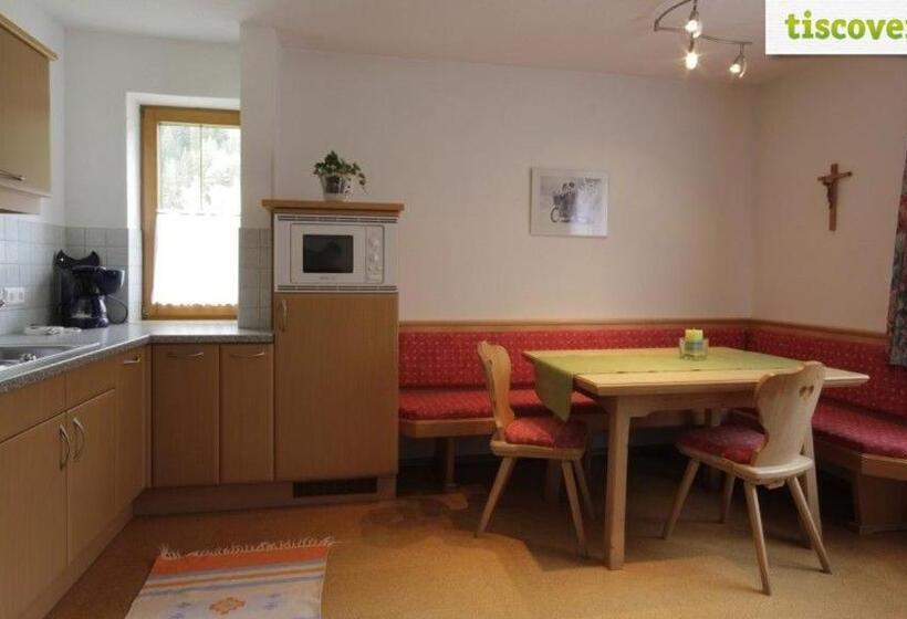 带1个卧室的公寓, Haus Alpina