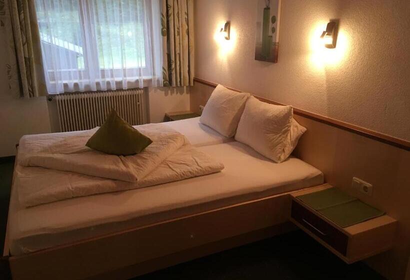 带2个卧室的公寓, Haus Alpina