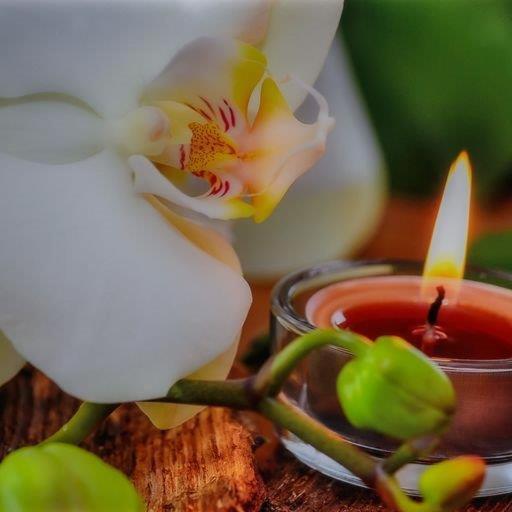 스탠다드 룸, Lokomotive